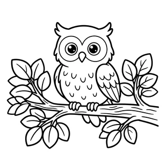 Coloriage hibou à imprimer